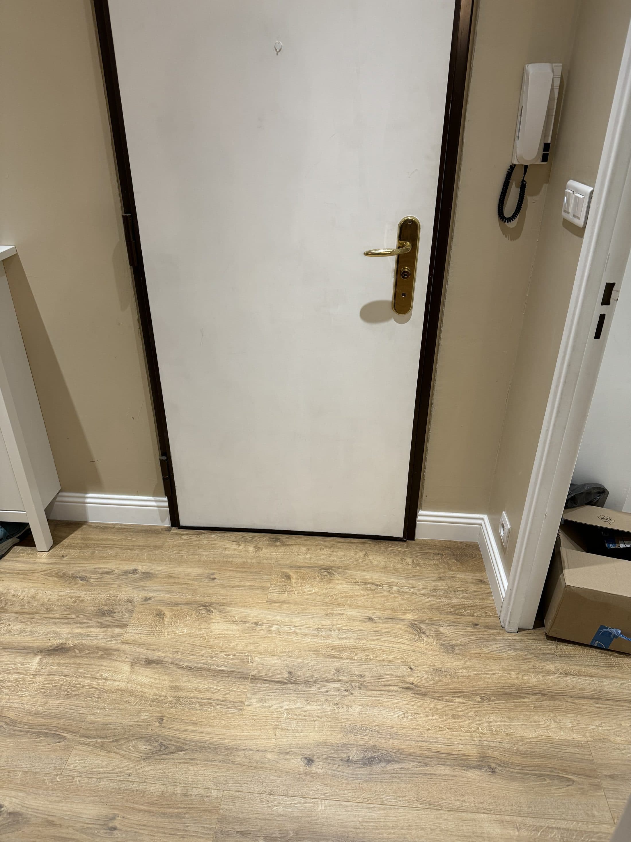 Porte d'entrée et parquet posé